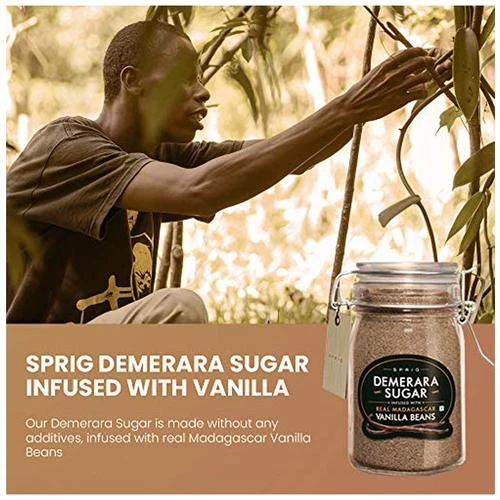Sprig Demerara Sugar - Vanilla Beans, 175 g Glass Jar-2.webp
